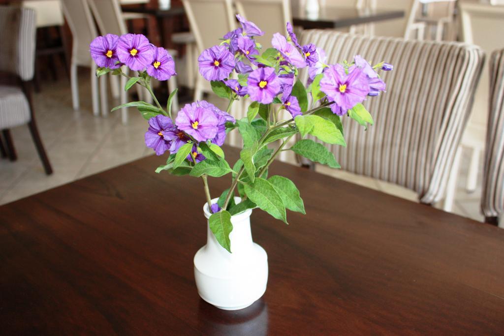 Nea Kallikrateia Hotel Cariatis מראה חיצוני תמונה